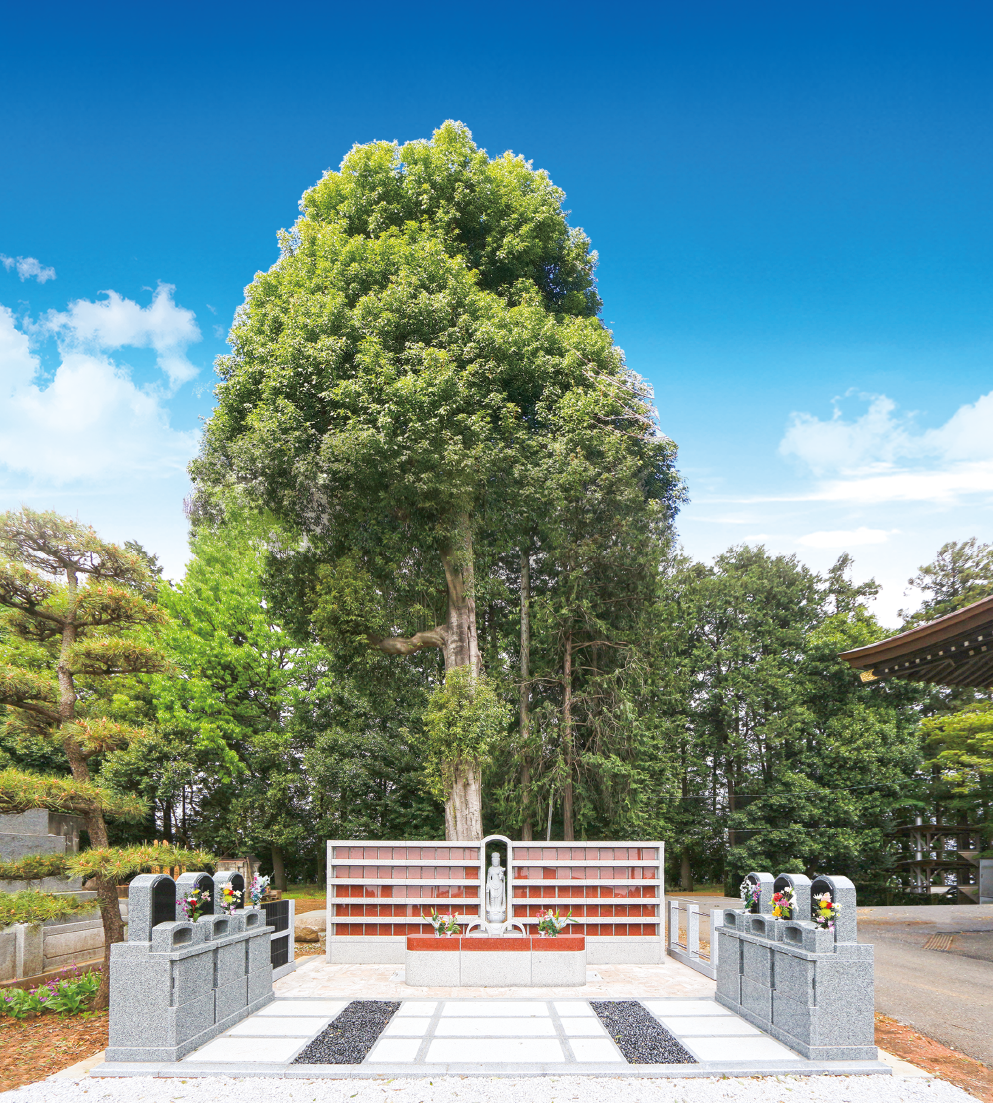 谷雲寺お墓使用料